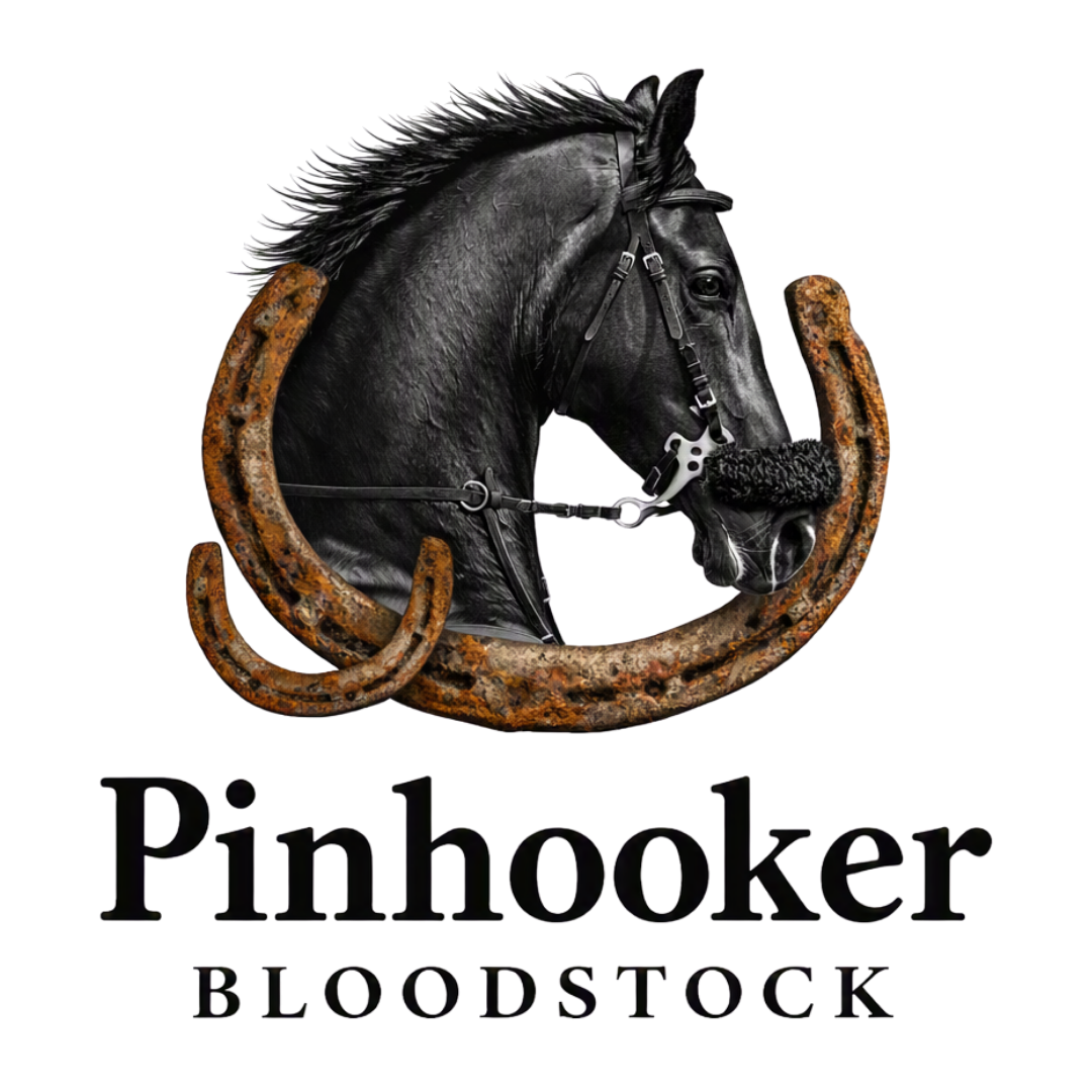 Pinhooker Bloodstock